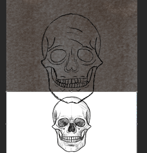 New Skull Design