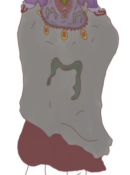 Vampire Turn Around Cloak Texture